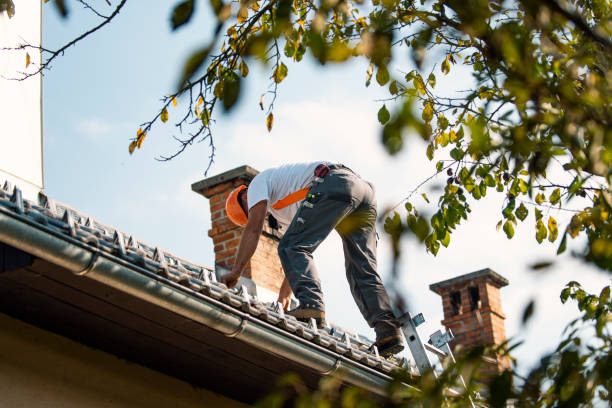 Trusted Tuscaloosa, AL Roofing Service Experts