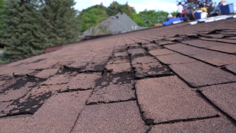 Cold Roofs in Tuscaloosa, AL